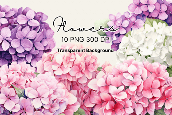 Download Watercolor Hydrangea Flowers Clipart - Flowers clipart Collection