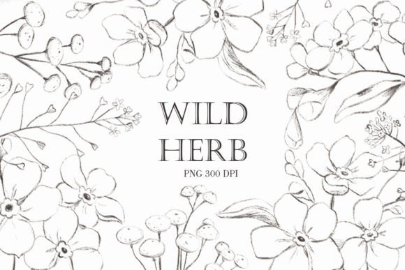 Download Wildflower Png. Vintage Flowers - Flowers Collection