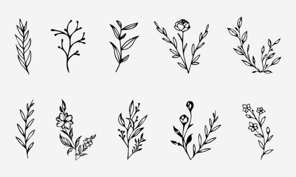 Download Flower Line Drawing Vector Illustration - Drawing Collection