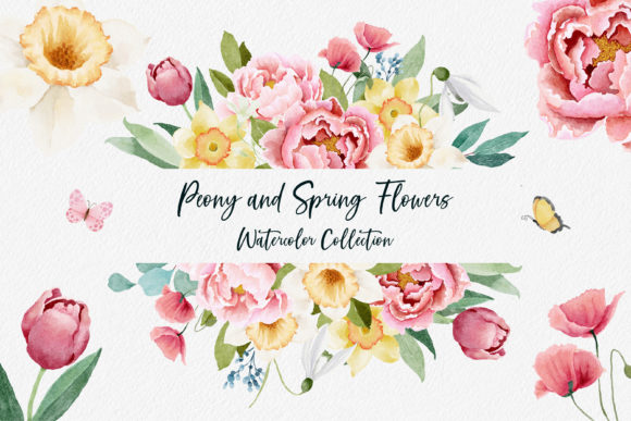 Download Watercolor Peony and Spring Flowers - Flowers Collection