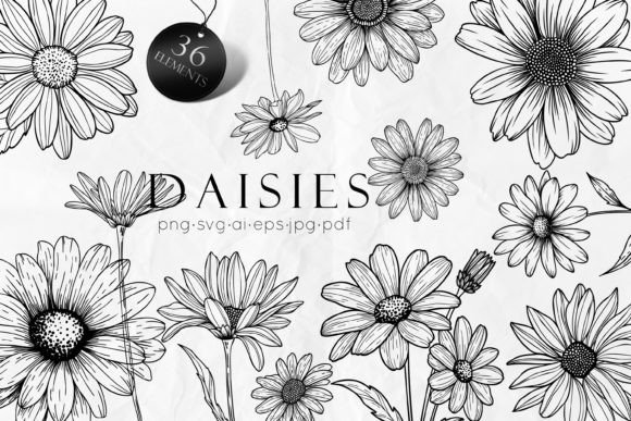 Download Daisy Line Art Drawing SVG - Drawing Collection
