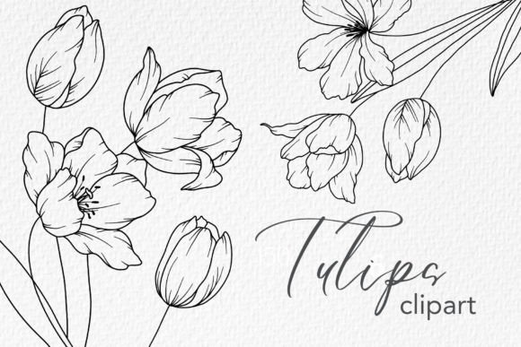 Download Tulips Line Drawing, Floral Line Art - Drawing Collection